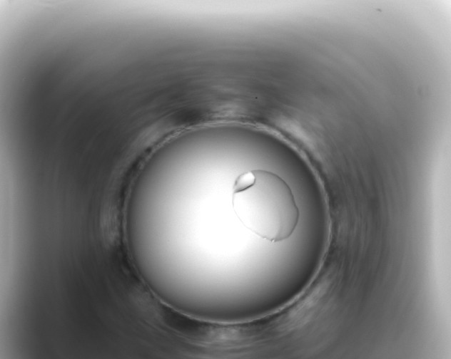 X0000089451211200706221241