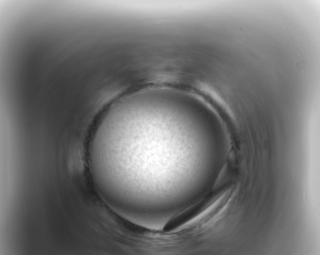 X0000089451213200706221241