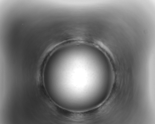 X0000089451215200706221241