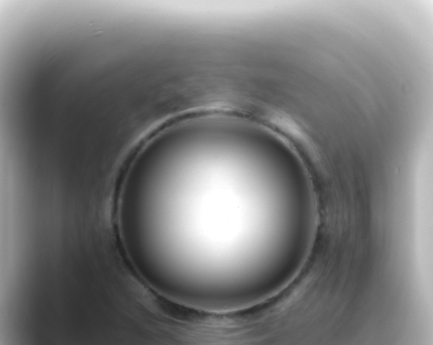 X0000089451216200706221241