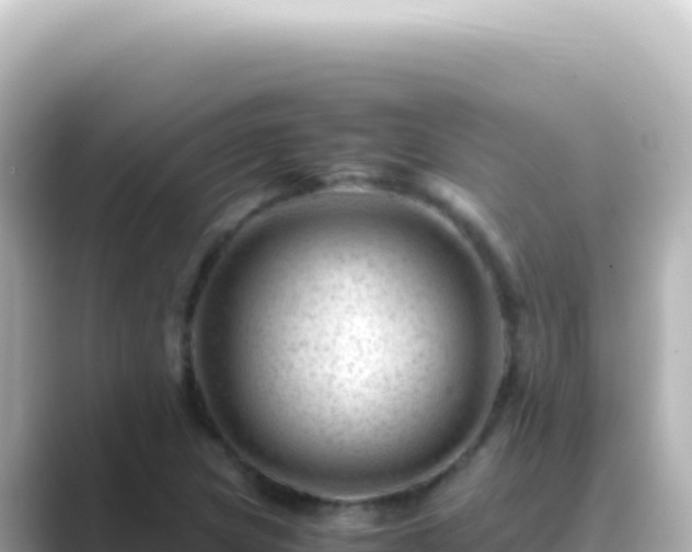 X0000089451217200706221241