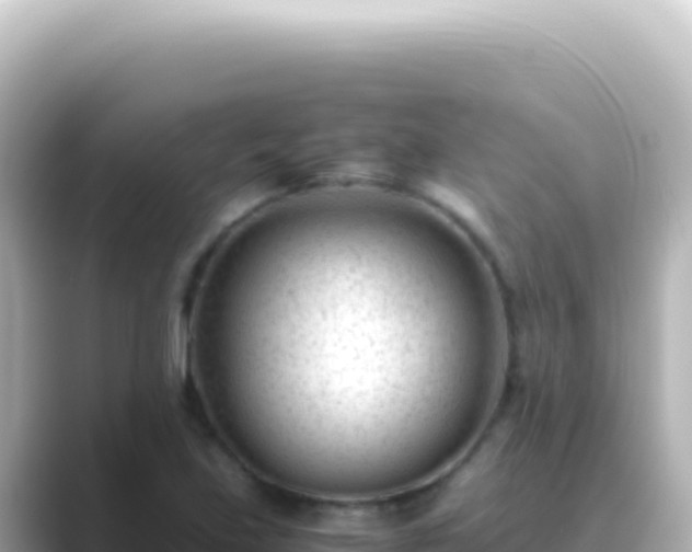 X0000089451219200706221241