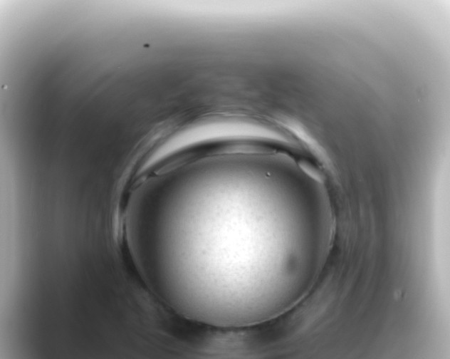 X0000089451221200706221241
