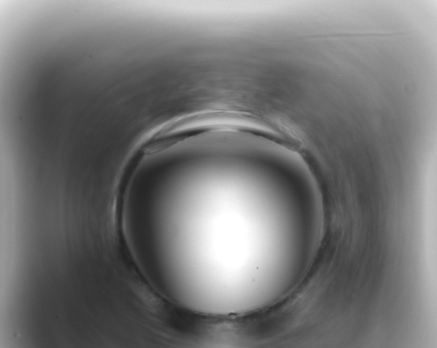 X0000089451222200706221241