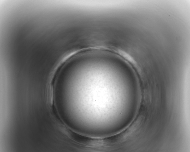 X0000089451223200706221241