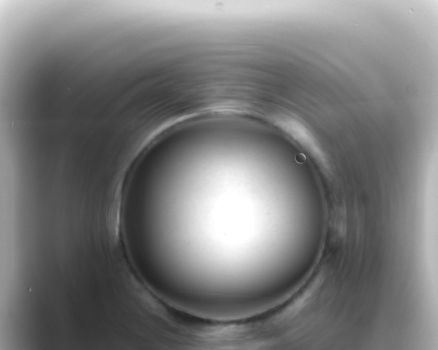 X0000089451228200706221241