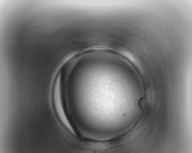 X0000089451229200706221241