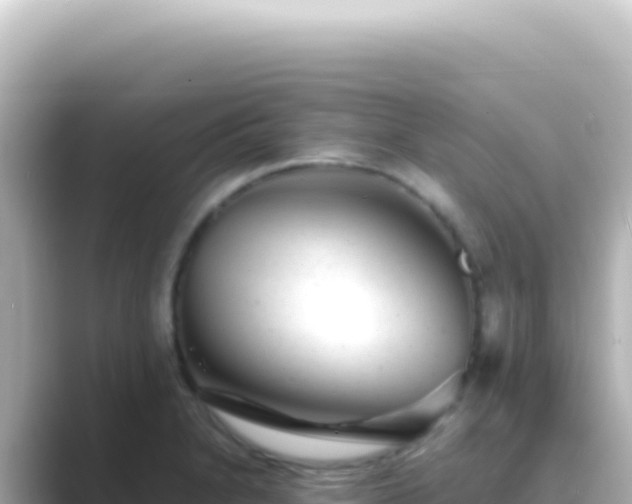 X0000089451230200706221241
