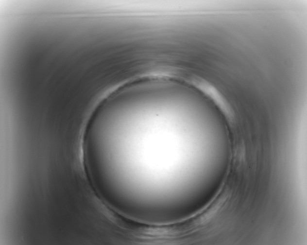X0000089451232200706221241