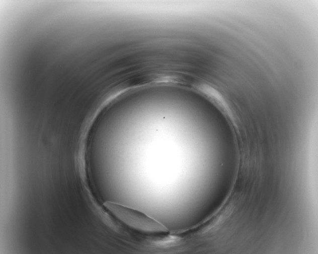 X0000089451235200706221241
