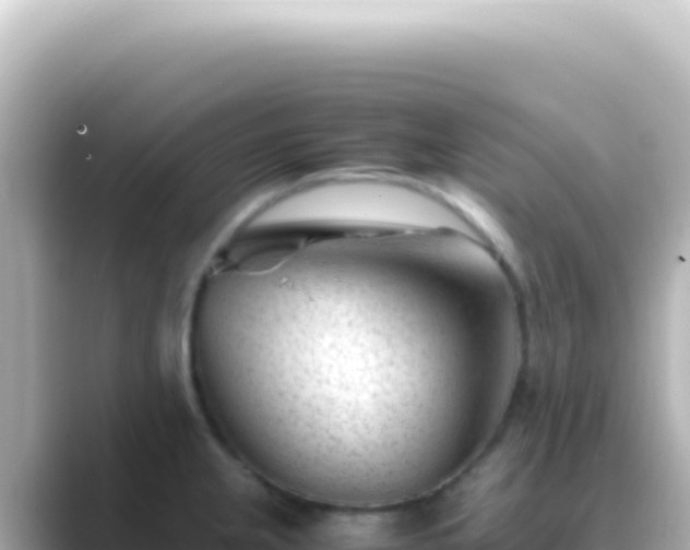 X0000089451237200706221241