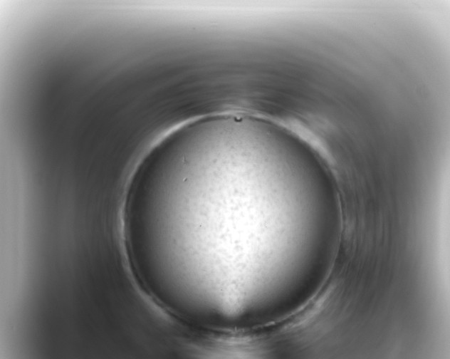 X0000089451239200706221241