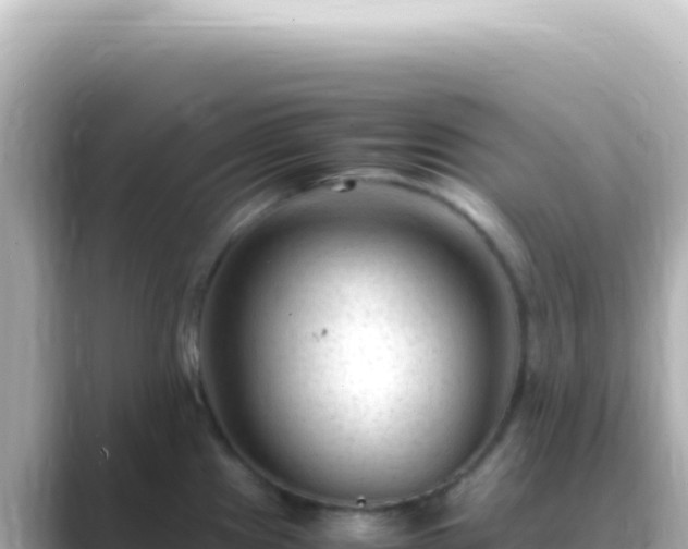 X0000089451241200706221241