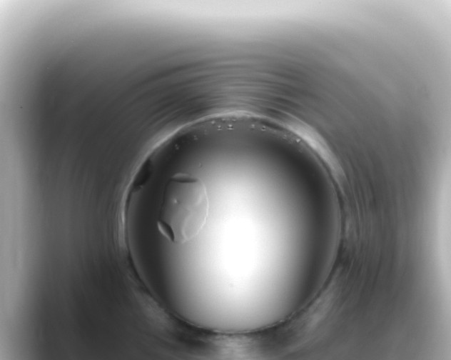 X0000089451242200706221241