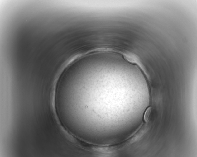 X0000089451245200706221241