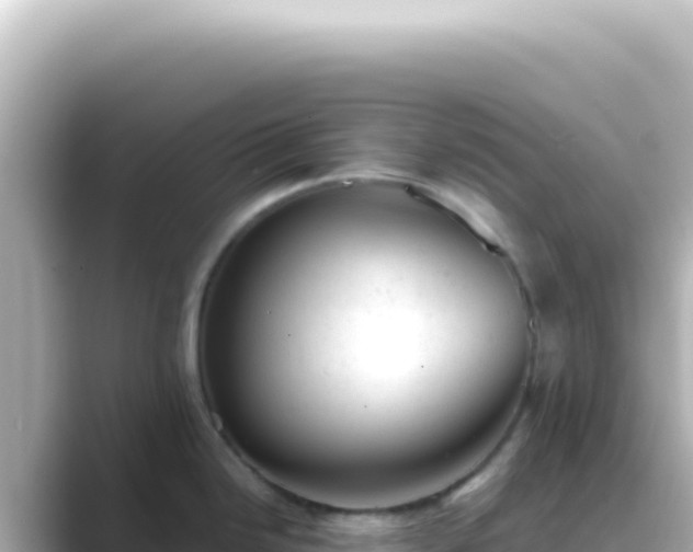 X0000089451246200706221241