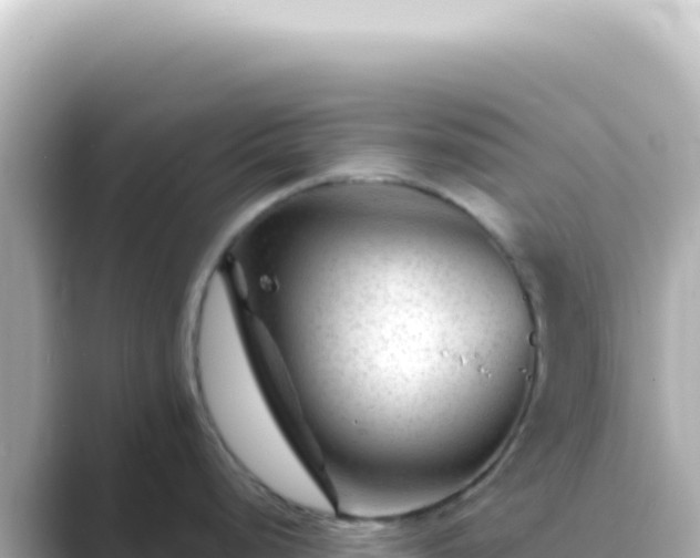 X0000089451248200706221241