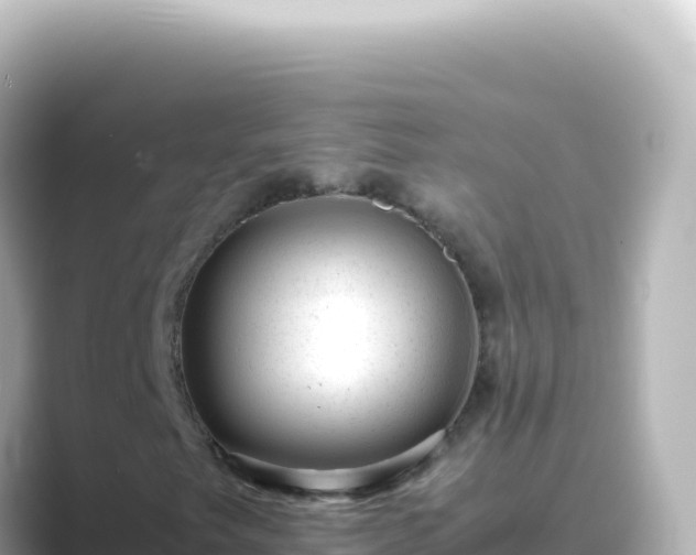 X0000089451249200706221241
