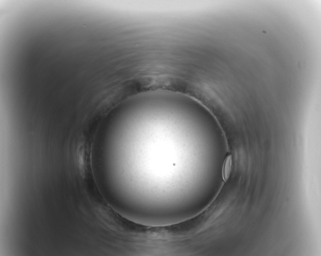 X0000089451250200706221241