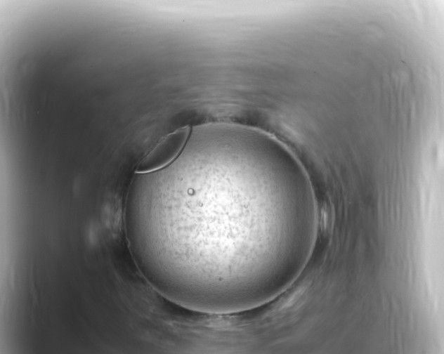 X0000089451251200706221241