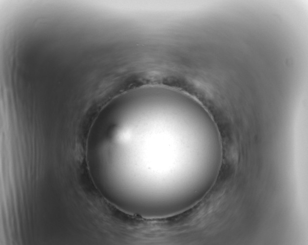 X0000089451253200706221241