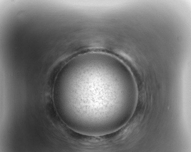X0000089451255200706221241