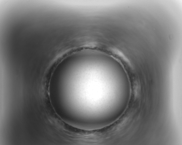 X0000089451256200706221241