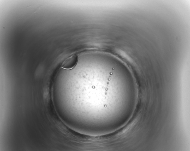X0000089451259200706221241