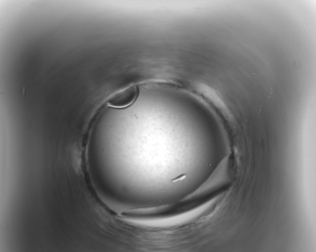X0000089451260200706221241