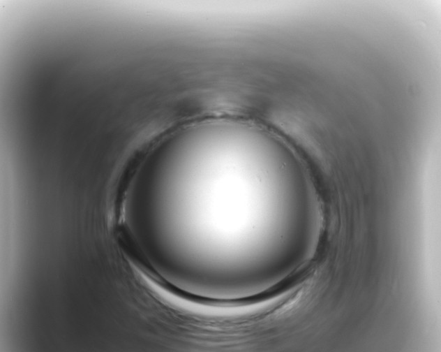 X0000089451261200706221241