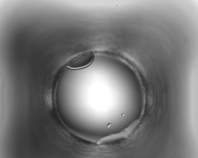 X0000089451262200706221241