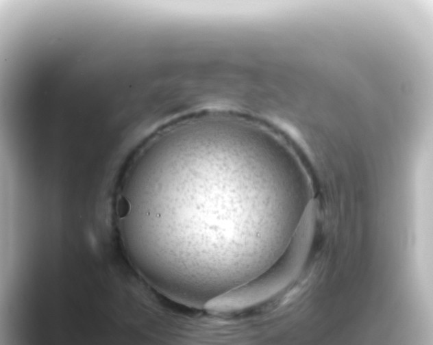 X0000089451263200706221241