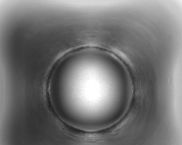 X0000089451264200706221241
