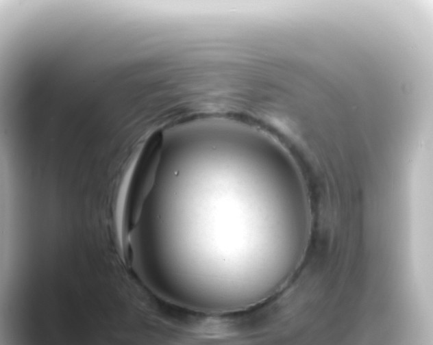 X0000089451265200706221241