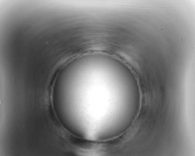 X0000089451266200706221241