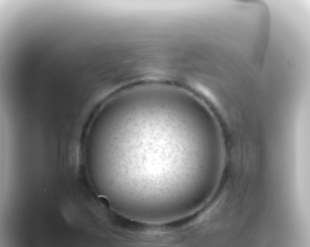X0000089451267200706221241