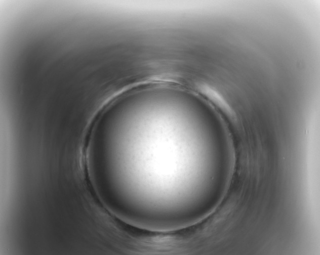 X0000089451268200706221241