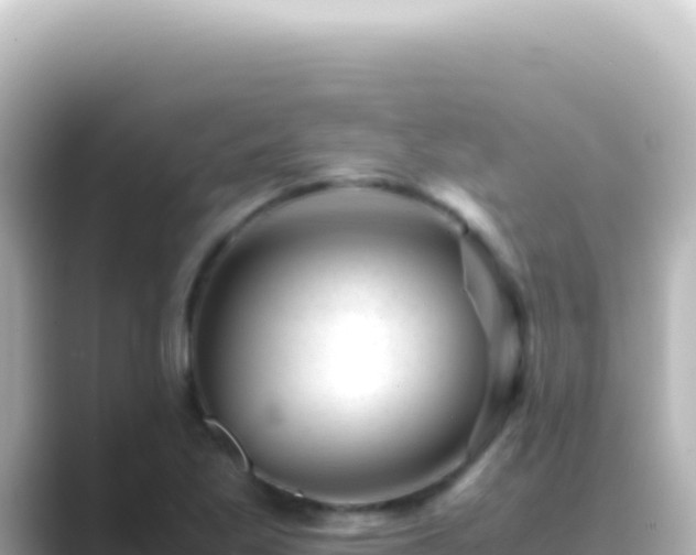 X0000089451269200706221241