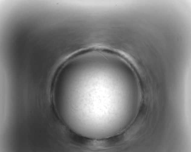 X0000089451271200706221241