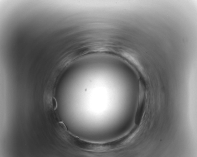 X0000089451273200706221240