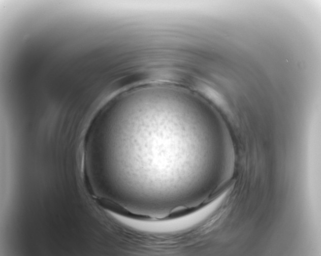 X0000089451275200706221240