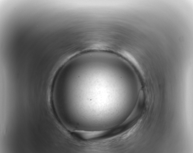 X0000089451277200706221240