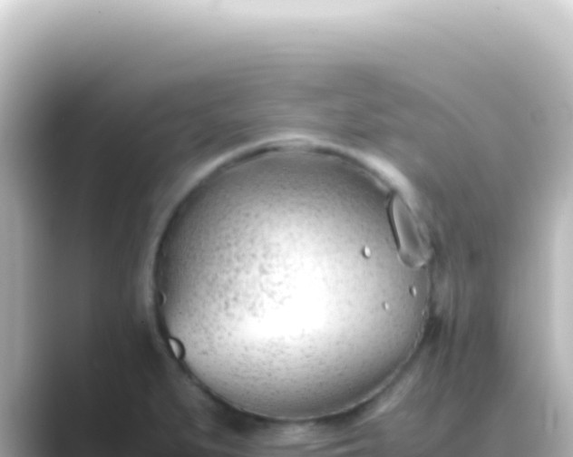 X0000089451279200706221240
