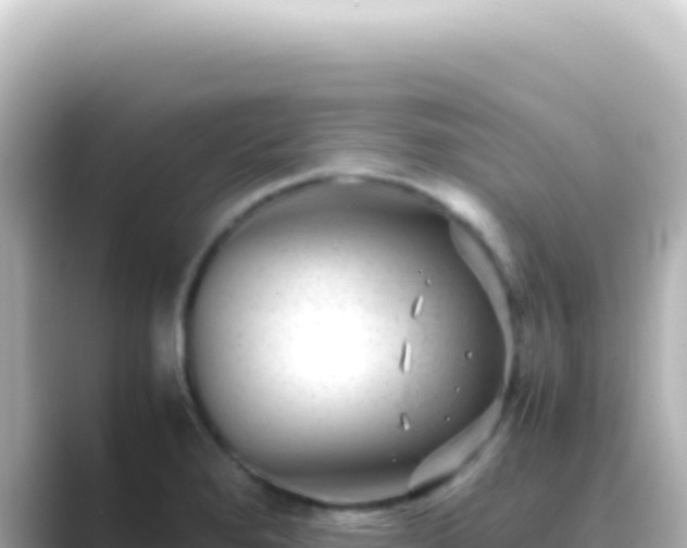 X0000089451280200706221240