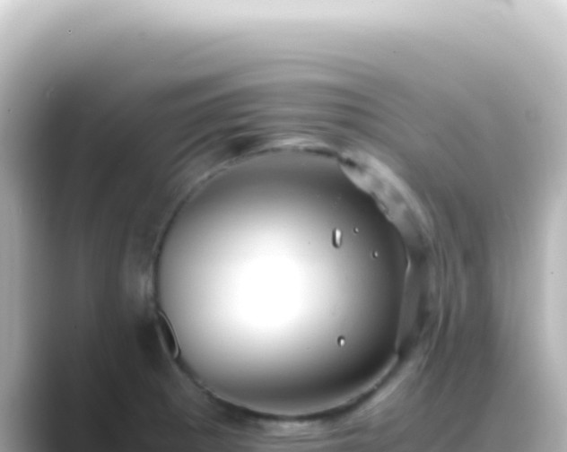 X0000089451281200706221240