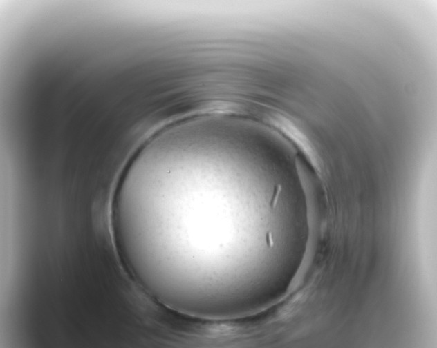 X0000089451283200706221240