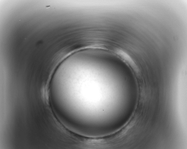 X0000089451284200706221240