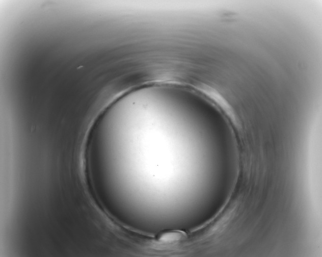 X0000089451285200706221240