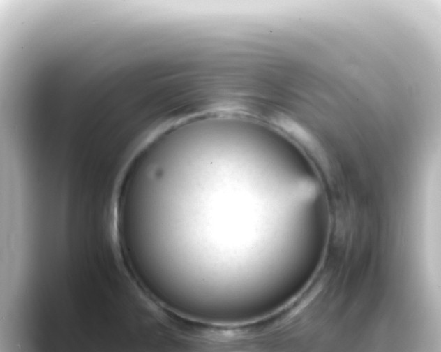 X0000089451286200706221240
