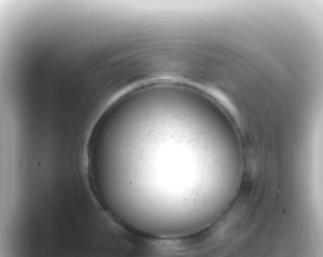 X0000089451287200706221240